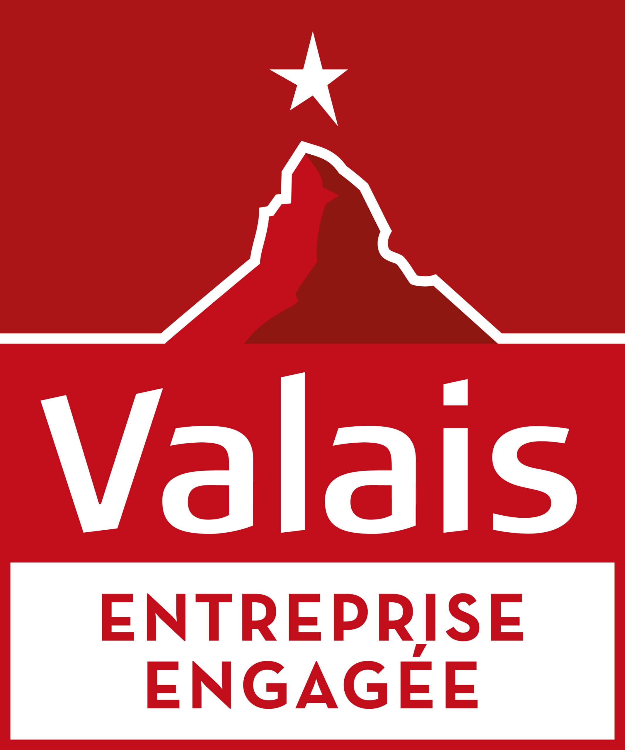 Logo Valais - Entreprise Engagée