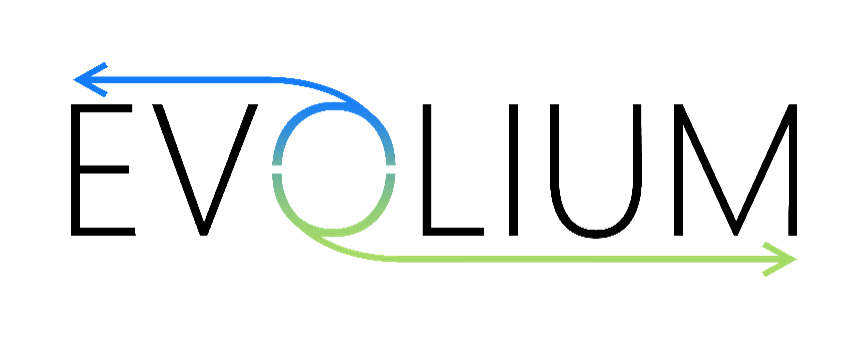 Logo_EVOLIUM_RVB_150 Logo Evolium